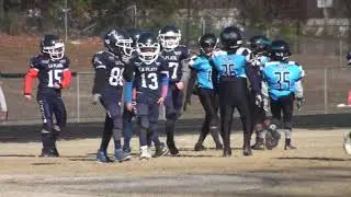 Huntingtown Canes vs La Plata Blue Knights 2019 8U - SMYAC Championship