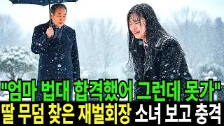 “엄마 나 법대 합격했어 그런데 못가” 딸 무덤 찾은 재벌회장, 대학가지말고 일해서 돈이나 벌라고 하네요ㅣ노후사연ㅣ감동사연ㅣ사연라디오ㅣ오디오북