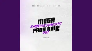 Mega Embrazamento Pros Baile (feat. Mc Mr. Bim)