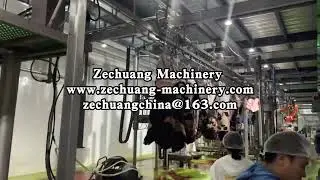 Automation Technology Cattle Slaughter Equipment Bovine Carcass Skinning Machine Use Bull Lifting