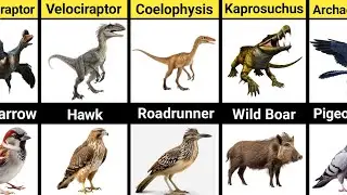 Ancient Beasts That Shrunk Into Today&rsquo;s Small Animals
