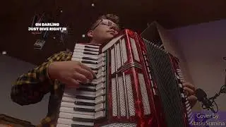 Ed Sheeran - Perfect Accordion Cover