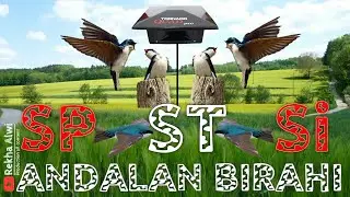 SP ST SI ANDALAN BIRAHI Original by atax walet