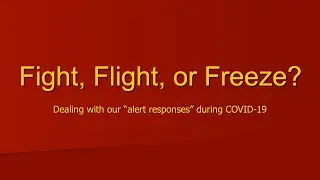 Fight, Flight, or Freeze? Dealing with our &ldquo;alert responses&rdquo; during COVID-19