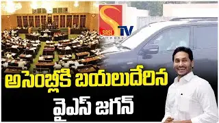 YS Jagan Visuals | AP Assembly Session 2024 | YS Jagan Entry AP Assembly #2day2morrowhealth