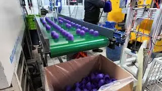 Sapel Mold Making: From Precision Design to Plastic Injection Mass Production