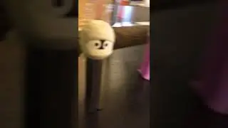 New pez dispensers