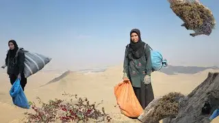 A Lonely Mother&rsquo;s Life in Iran&rsquo;s Mountains | Collecting Wild Medicinal Herbs to Feed Her Children