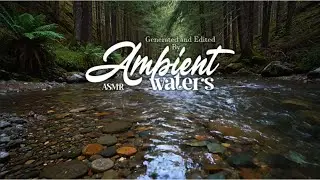 River Flow & Forest Birds Chirping | Gentle Nature Sounds ASMR for Sleep & Meditation | 3 Hours
