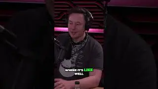 Elon Musk Talks About The Different Extinction Events of Earth (via Joe Rogan)
