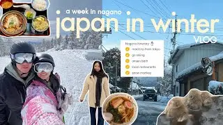 Skiing in Japan | best ski resort, cozy restaurants & snow monkeys 🙈 (NAGANO TRAVEL VLOG)