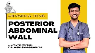 Posterior Abdominal wall || Abdomen Anatomy || First Year MBBS || Anatomy Lectures by Ashish