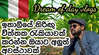 අපේ ලාංකිකයන්ට ඉතාලියට එන්න තවත් රැකියා අවස්ථාවක්👍👍👍👍❤️❤️