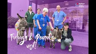 Turlough and Peanut visit to NI Hospice