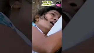 Sony PAL YouTube chennel total income #shorts