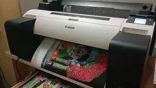 canon tm 5200 printer 24in