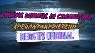 DOMNUL DOARME IN CORABIOARA/SPERANTA&PRIETENII/NEGATIV ORIGINAL