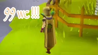 98-99 grindscape