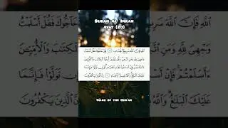 Surah Al Imran| ayat 20 #recitationofquran #knowledgeofislam #quran #viralvideo #shortsfeed