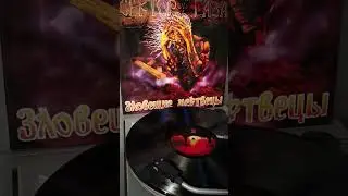 Сектор Газа - 