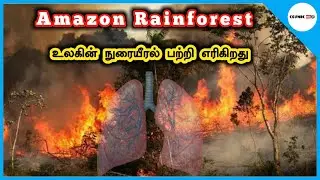 Amazon Forest Fire Issues | Rain Forest | Brazil | Tamil | Cosmic Info
