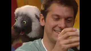 Zoboomafoo - Grow, Zoboo, Grow | Best Shows for Kids | WildBrain Zigzag