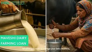 HBL Microfinance Bank | Maveshi Loan
