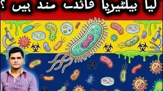 Complete Role of the Microbiome | Gut Health, Immunity & Brain Connection