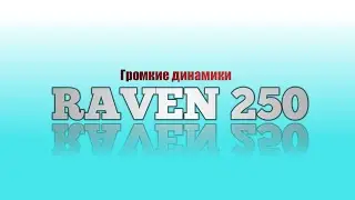 Обзор на громкие динамики #raven250 от #dlaudio + реакция родителей на динамики сына 🤯
