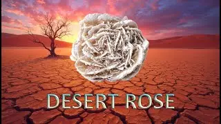 The Crystal Echoes - Desert Rose