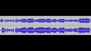 Stereo Audio Test Tape (censored)