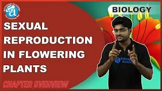 SEXUAL REPRODUCTION IN FLOWERING PLANTS || CHAPTER OVERVIEW || KATYAYAN ACADEMY