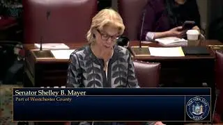 State Senator Shelley Mayer Explains Her 
