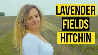 Lavender Farm - Hitchin UK 2021