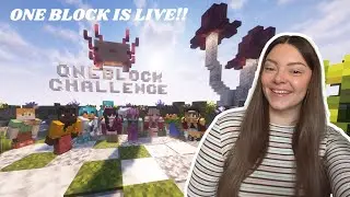 I launched a Minecraft One Block Server...