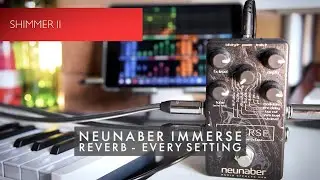 Neunaber Immerse Demo : Every Reverb