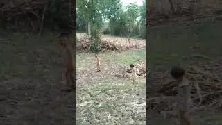 video 20241121 1426521