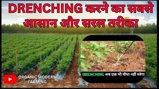 WHAT IS DRENCHING || drenching kaise kare || kaise kare drenching || drenching karne ke fayde