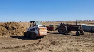 Spreading Hog Manure on Pasture