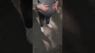6 years old and she's a woman #pregnant 🤰🤦 #shots #foryou #humor #baby #pregnancy #mom