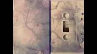 Stuart Chalmers Taming Power &lrm;&ndash; 4.026-For Electric Guitar and Bowed Swarmandal (2019)