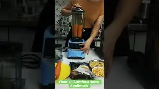 Flourish Commercial Blender