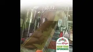 Farm Tour Experiences