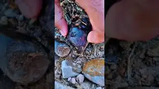 Wow Amazing Natural Stone Hunting #gems #gemstone #shorts