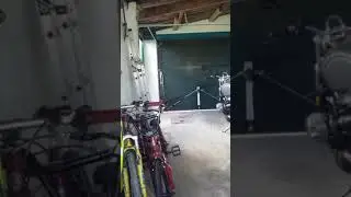 Organic Robot