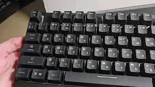 Rosetta MSI Combo