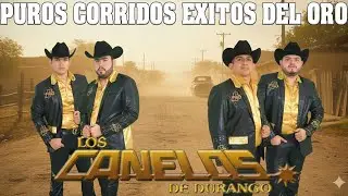 🤠Las 20 Mejores Canciones de Corridos Norte&ntilde;os🤠Los Canelos de Durango Mix Exitos