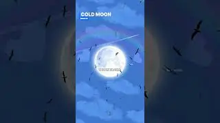 Crazy Moon Events Happening in Year 2026 || Don't Miss 🤯 #astronomy