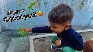 Aaj to buggu ne 🦎 chipkali pakad li 😲.. A FULL VLOG VIDEO 1m viewe #funny #vlog #viralvideo 