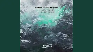 I Love You So (Shimza Extended Remix)